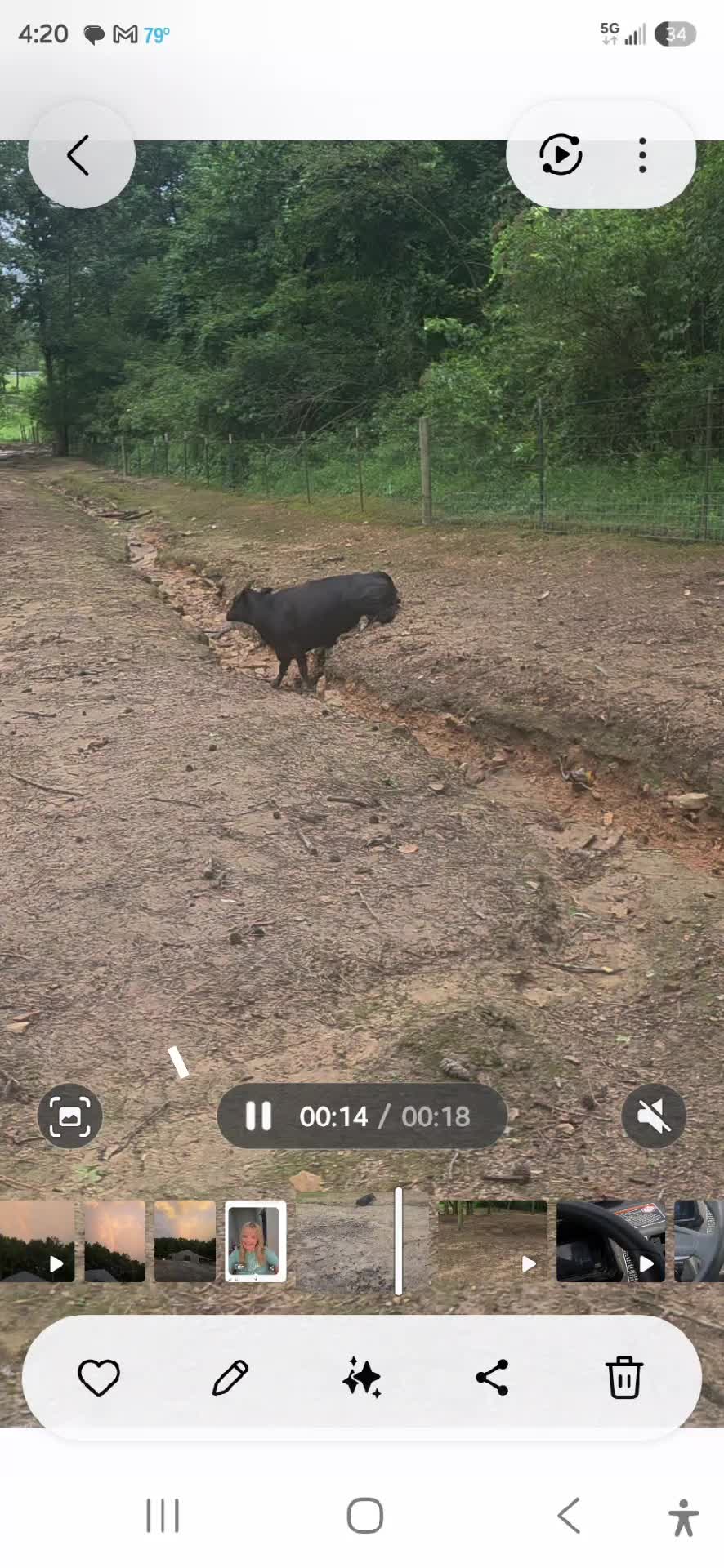 @Fortner Farm