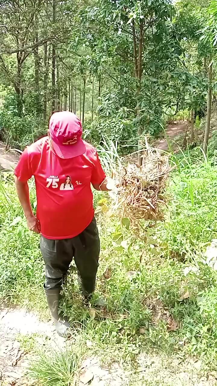 @Sebastian Vásquez