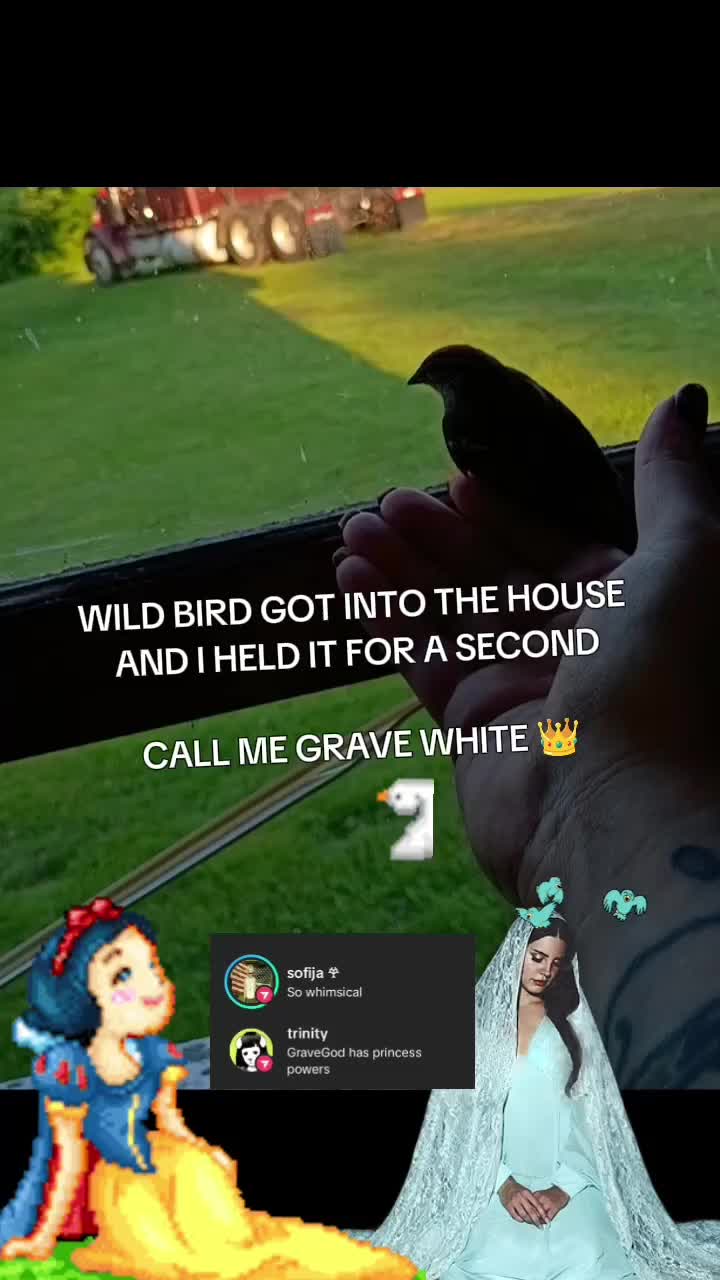 @🪦𖣂 G̸r̸a̸v̸e̸G̸o̸d̸ 𖣂🥀