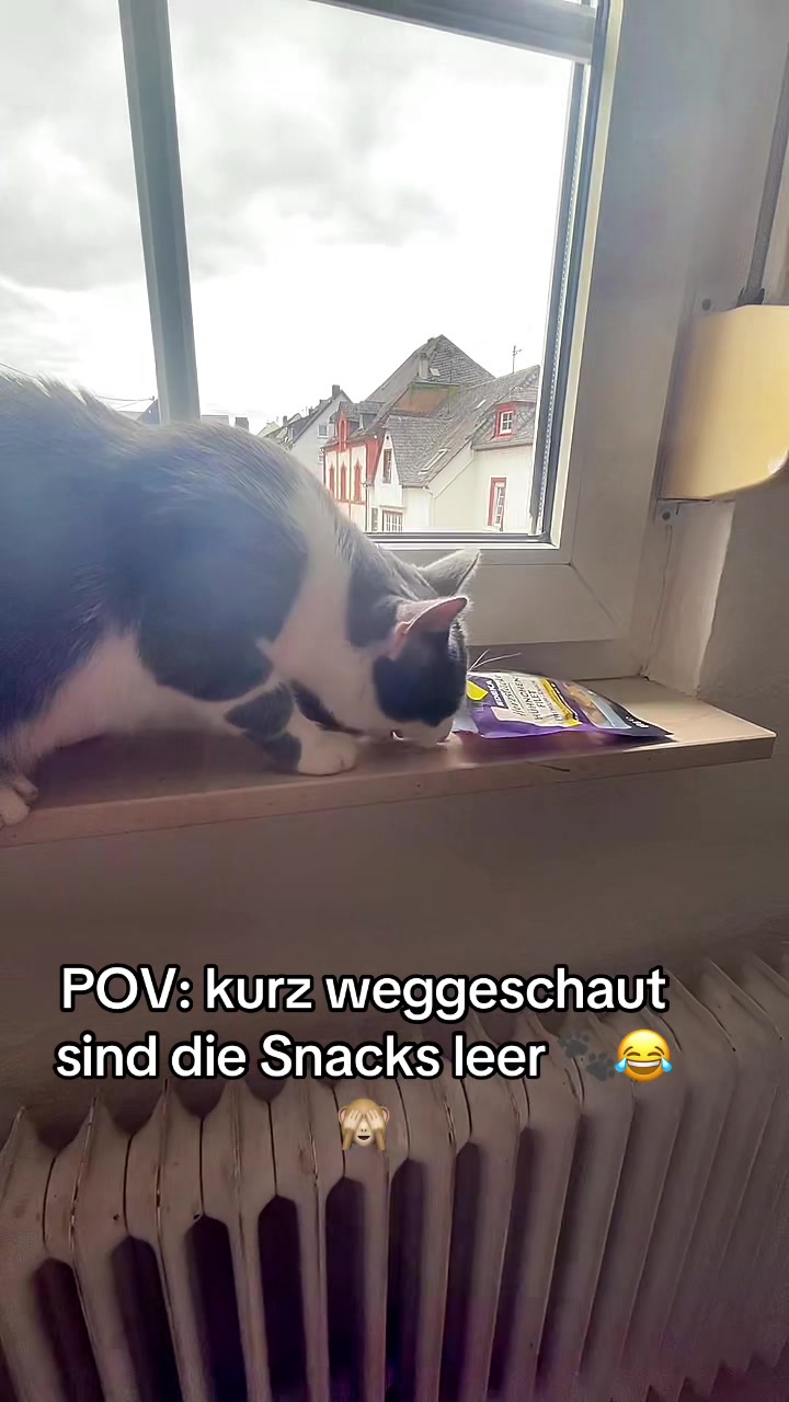 @caroStar