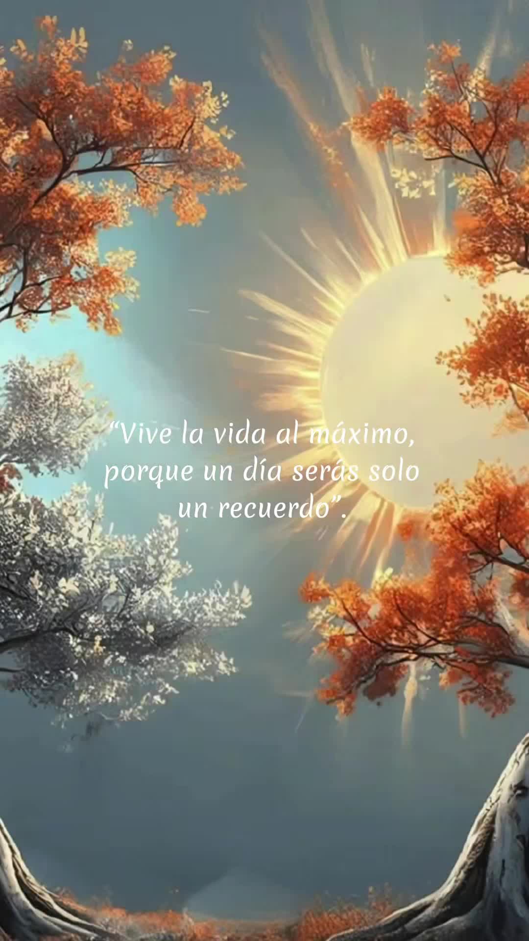 @Maribel 🌻