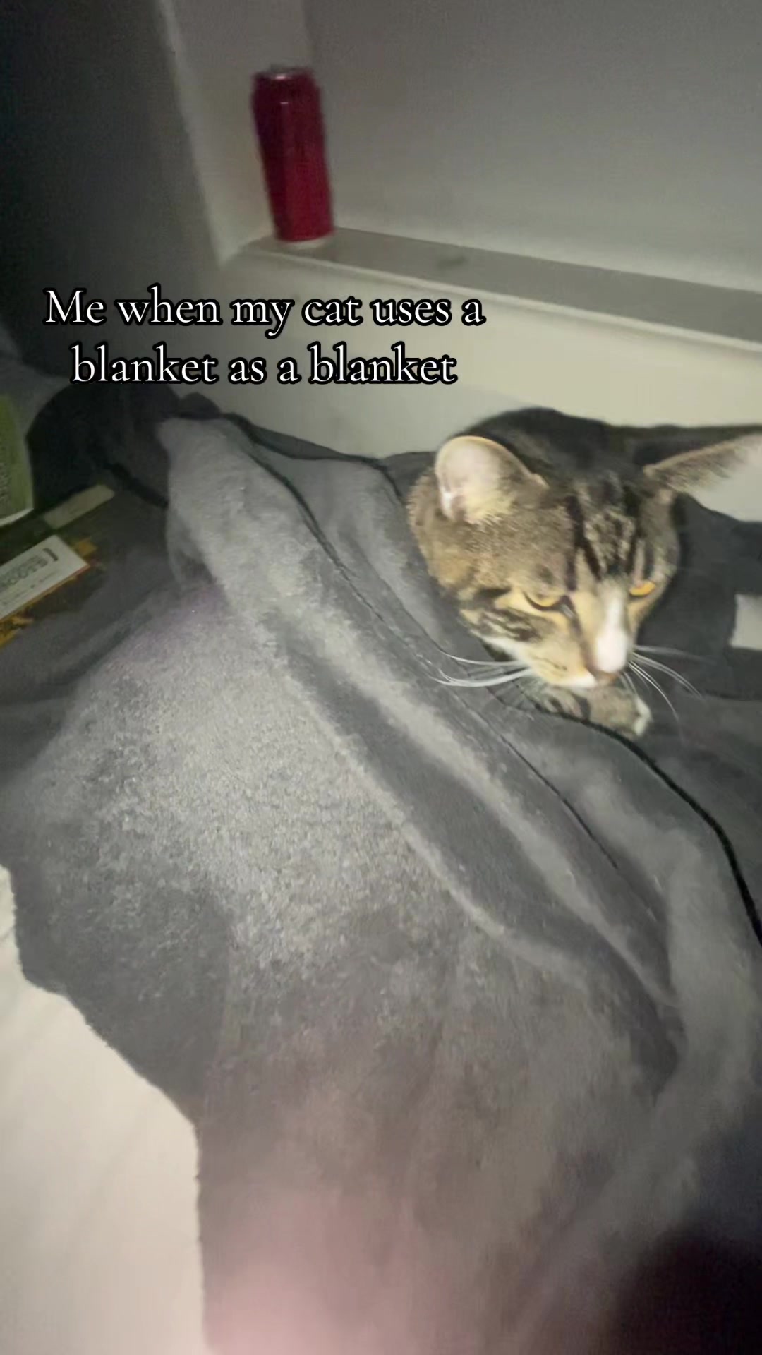 @R&eth;&sect;&iuml;&ecirc;