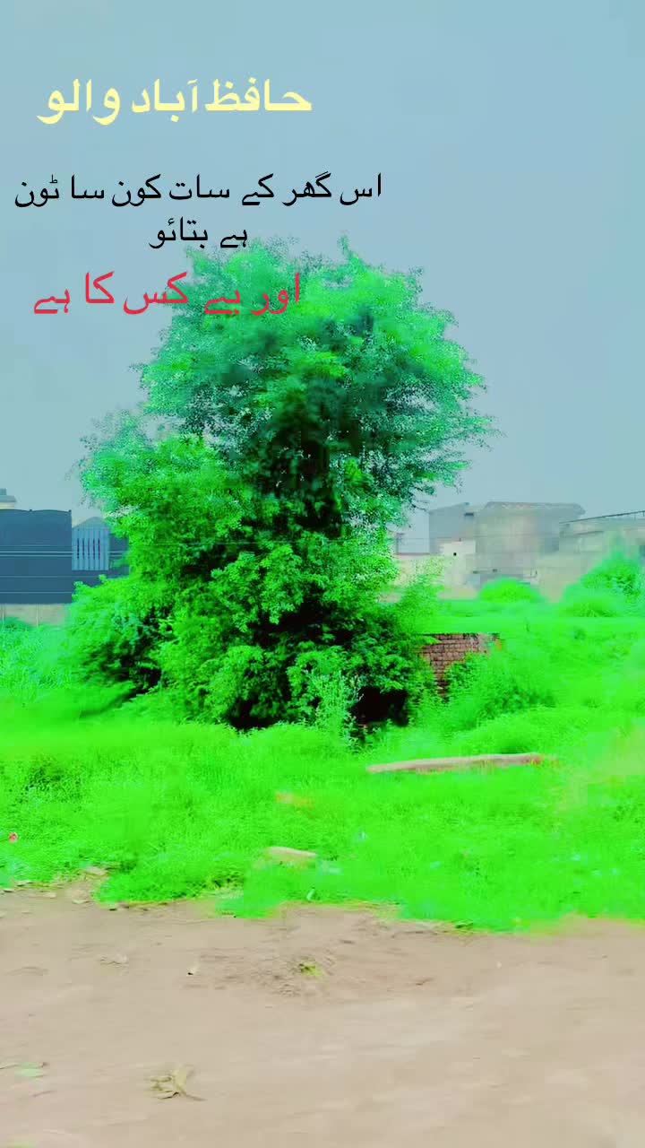 @تارڑ ذادی ❤️✨