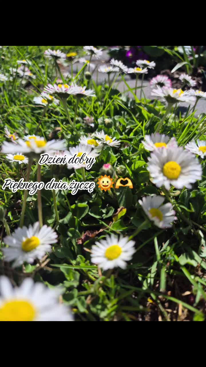 @🌺🪻aasia🌺🪻