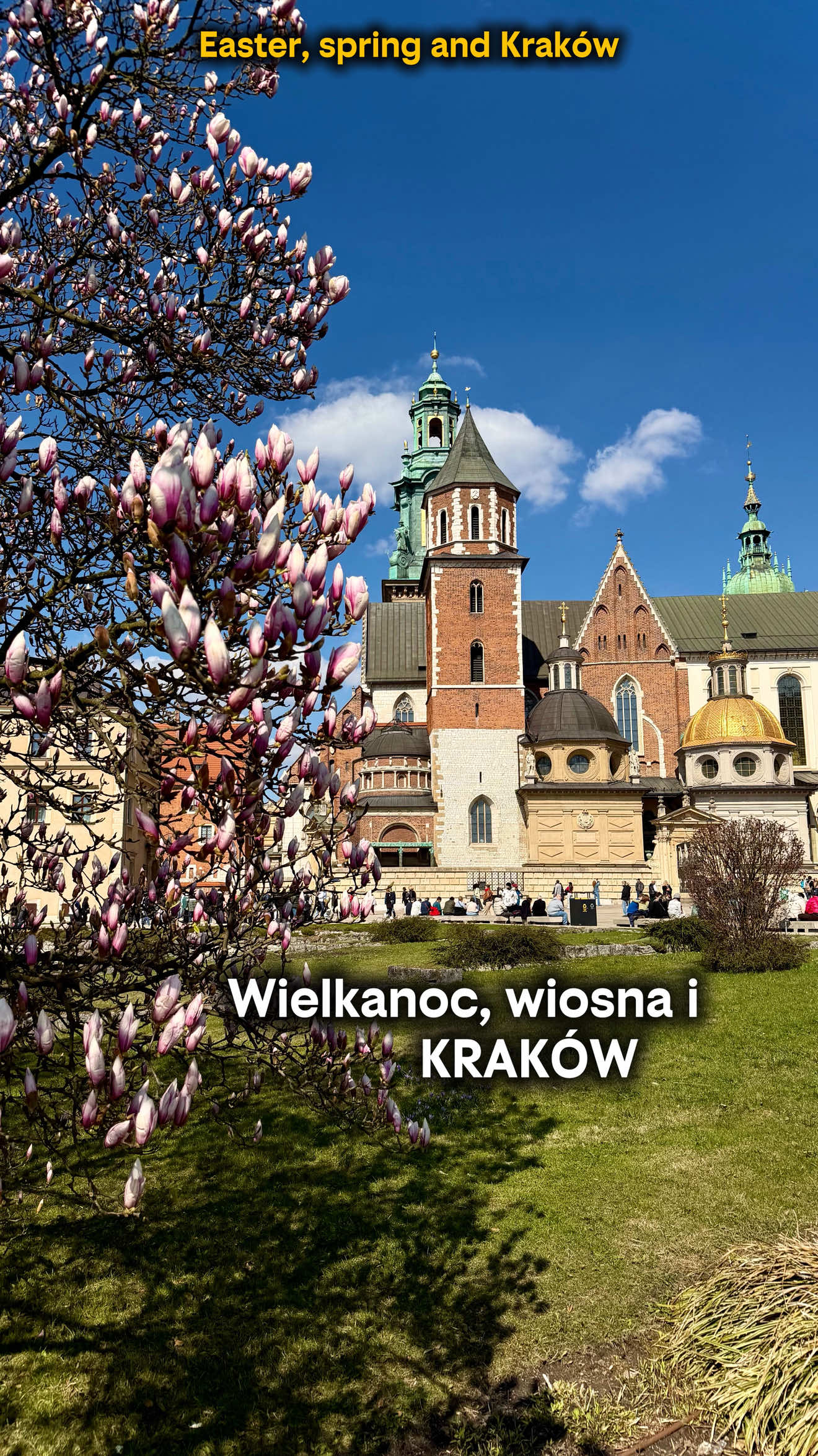 @krakowhello