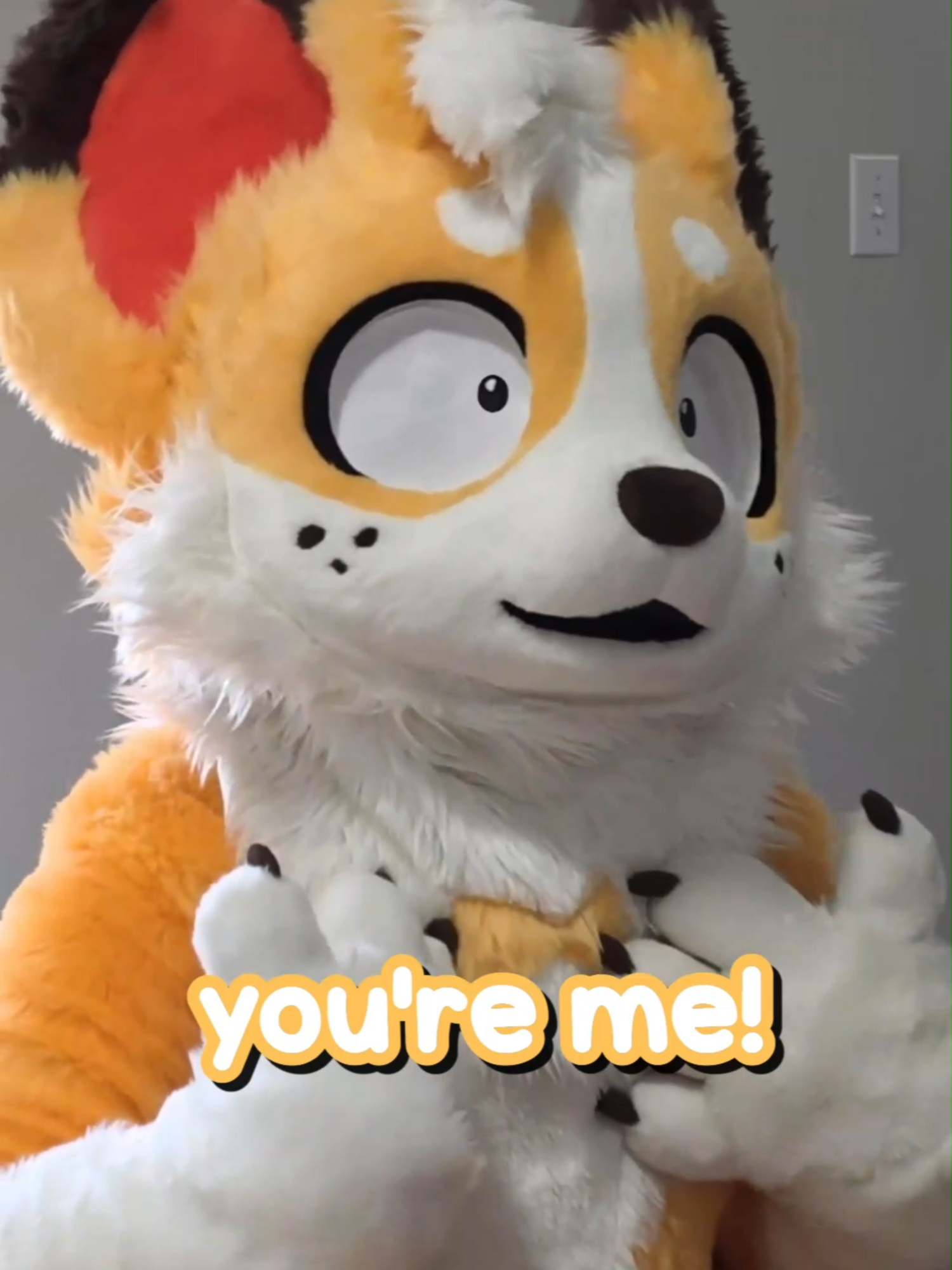 @Corgi