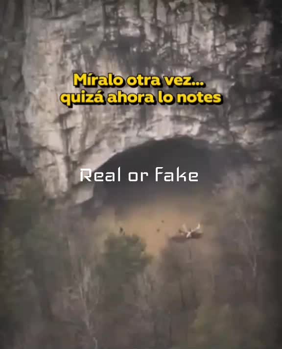 @Real or Fake