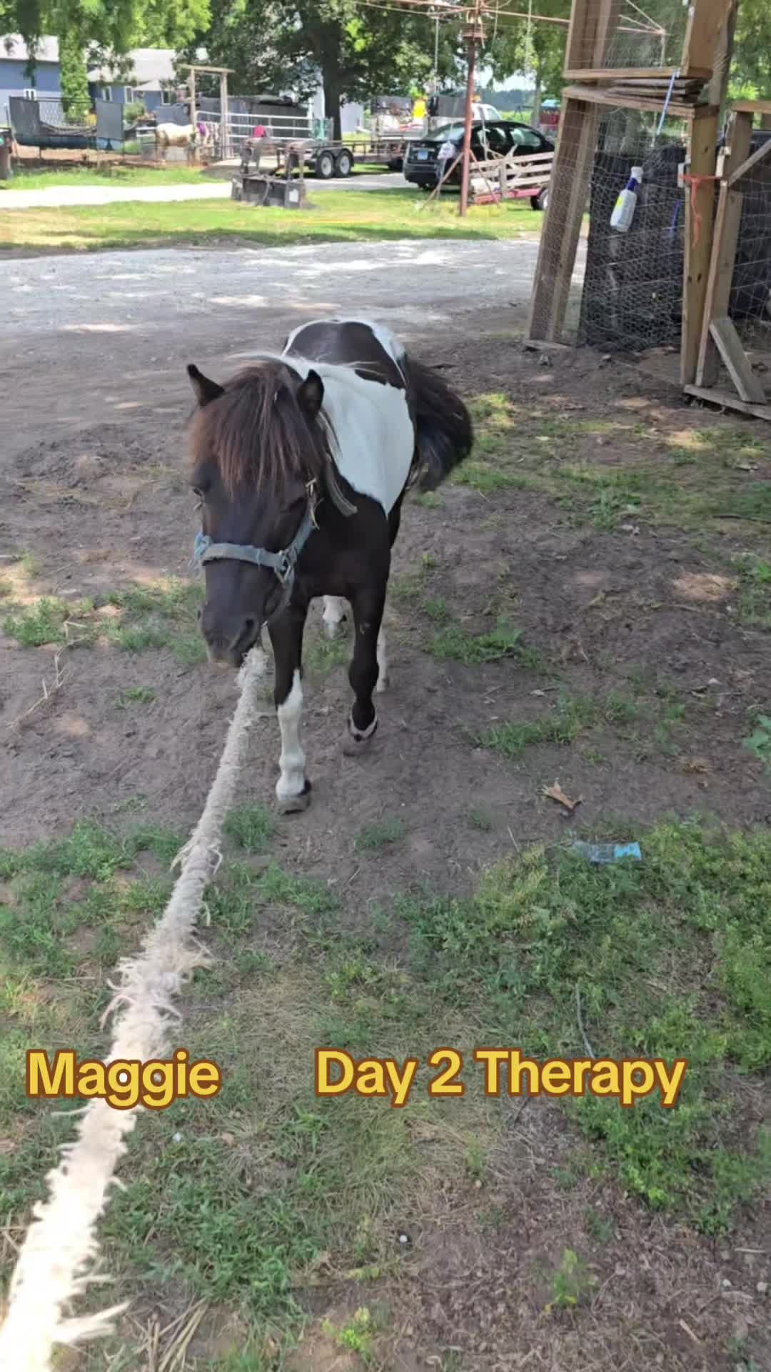 @Small Town Farm LLC