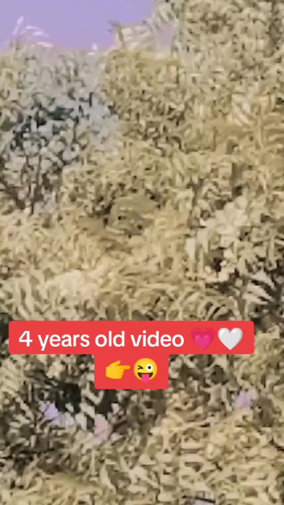 @🤍𝕊𝕚𝕝𝕖𝕟𝕥 𝔽𝕦𝕛𝕚💗