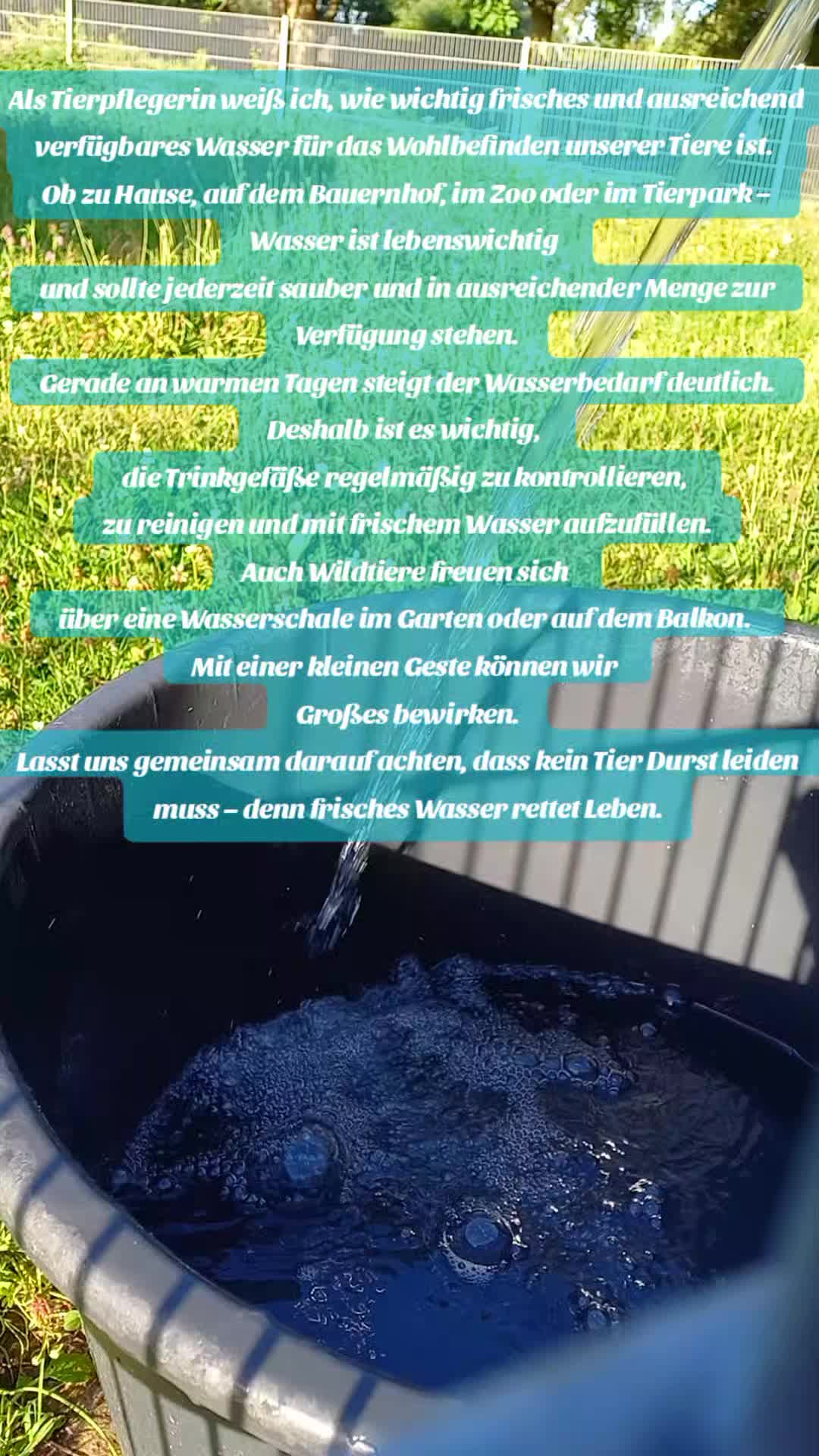 @🦚🆃𝓲𝓮𝓻🅿𝓪𝓻𝓴🆃𝓸𝓴🦚