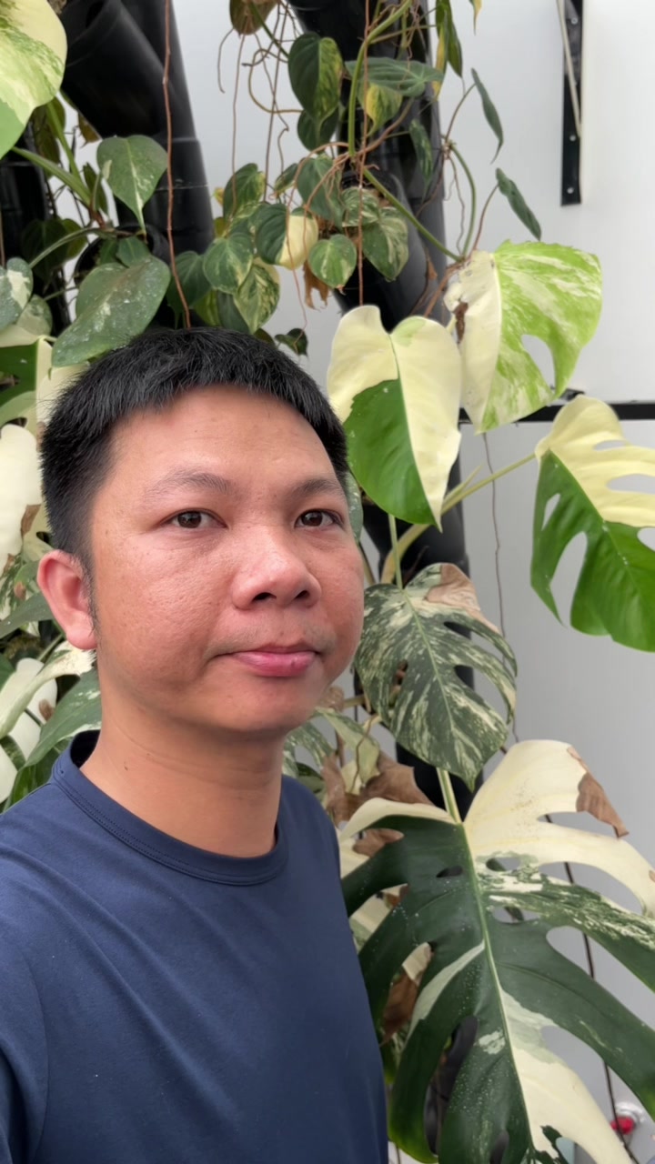@Huy Kiểng L&aacute;