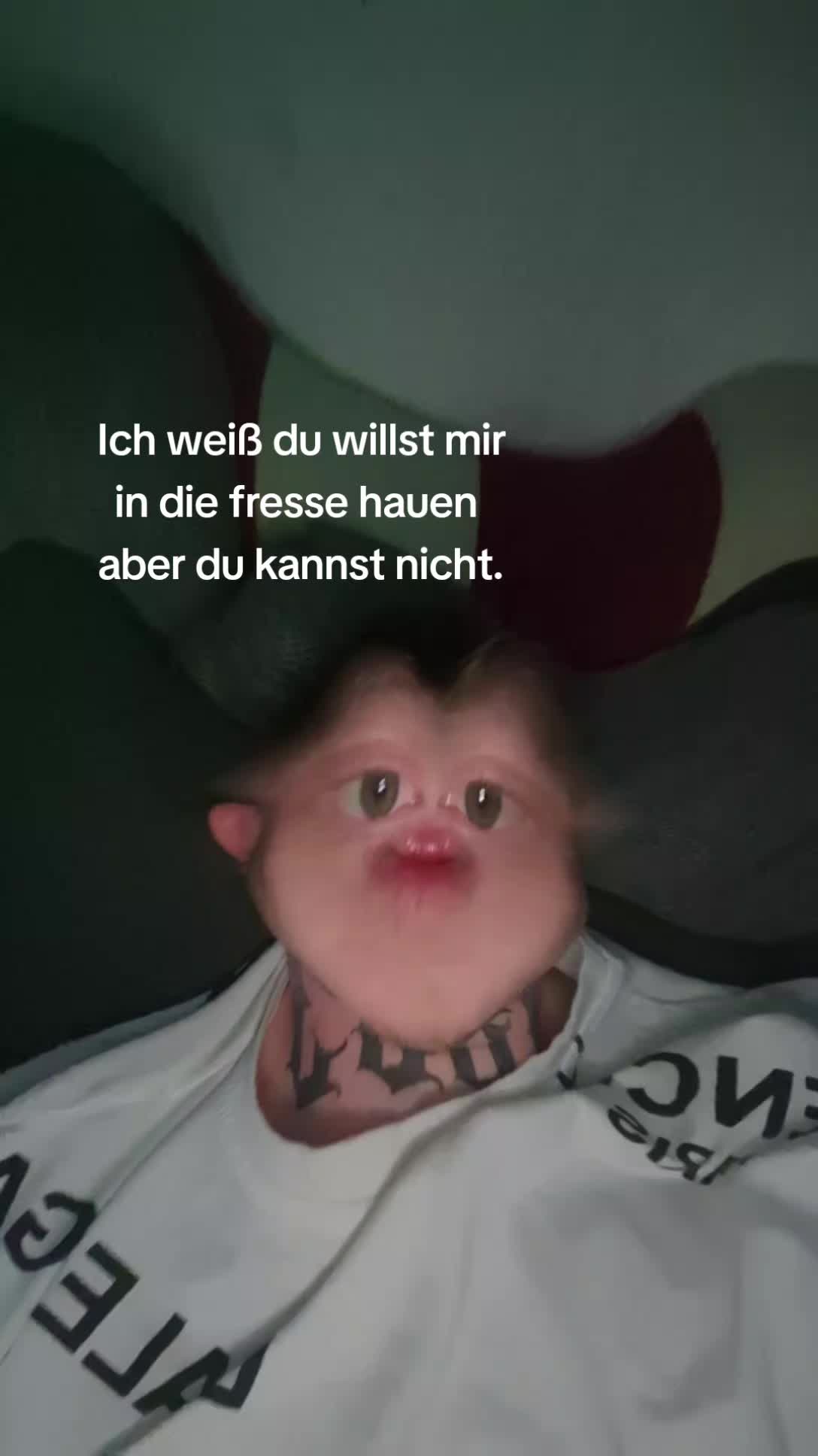 @𝘇𝘄𝗶𝘀𝗰𝗵𝗲𝗻𝘇𝗲𝗶𝗹𝗲𝗻