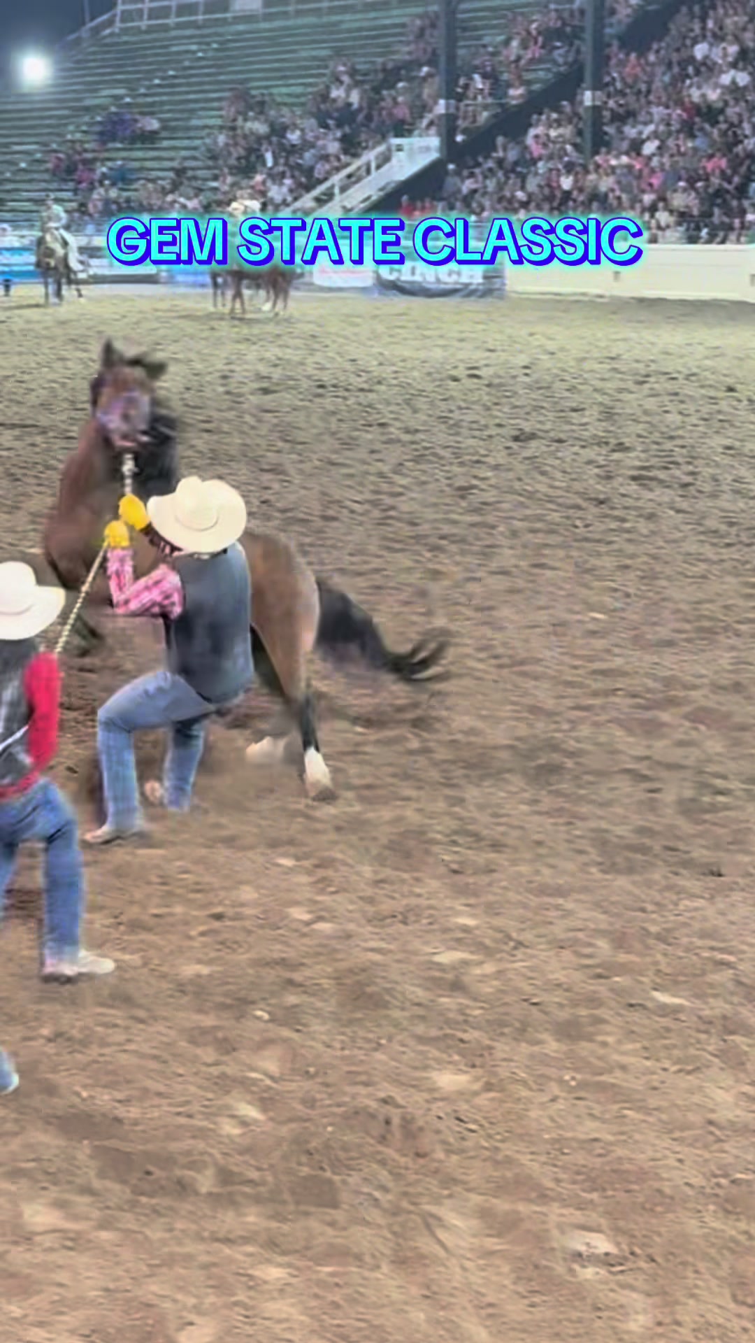 @knoxrodeo