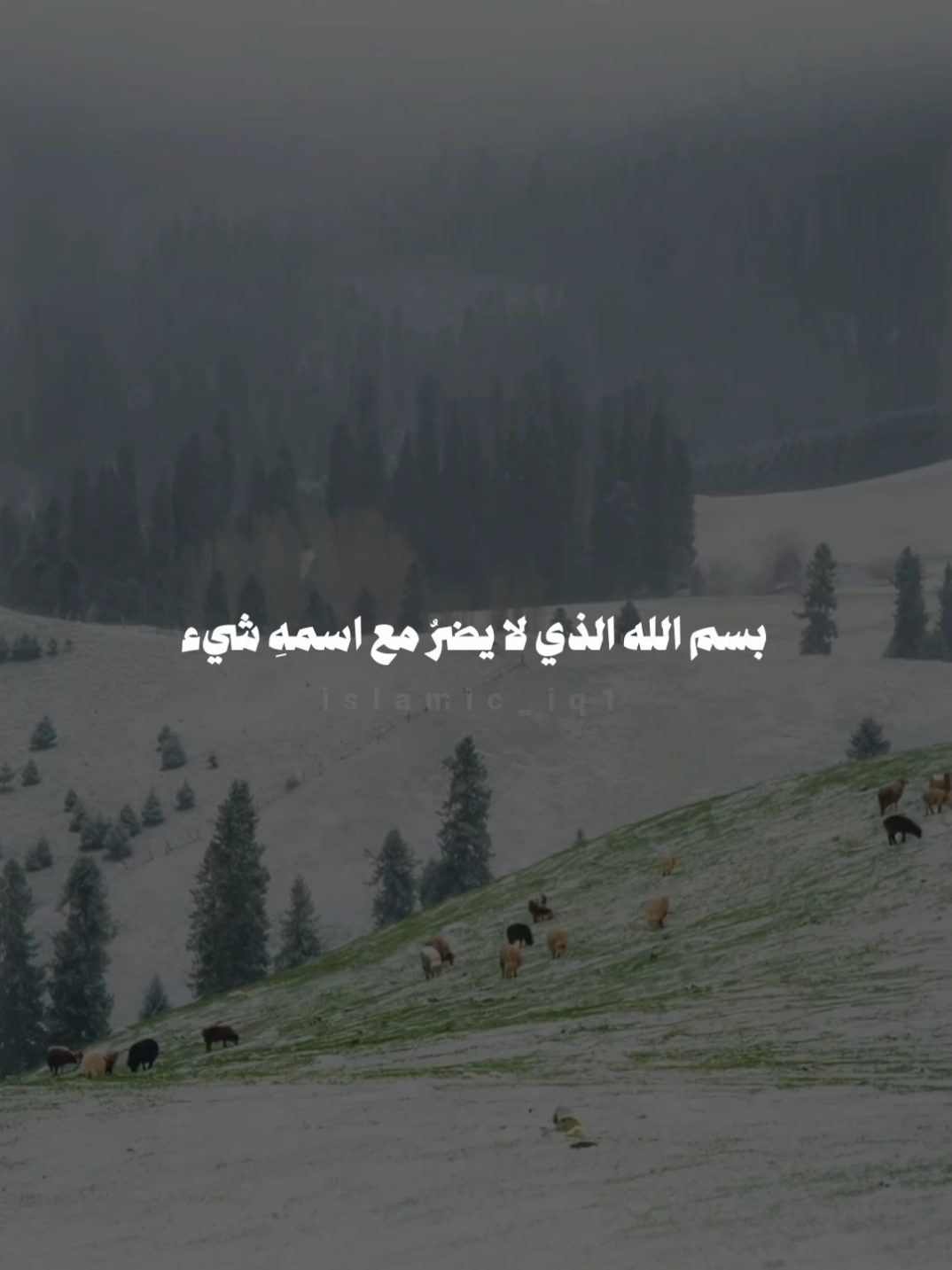 @حمد