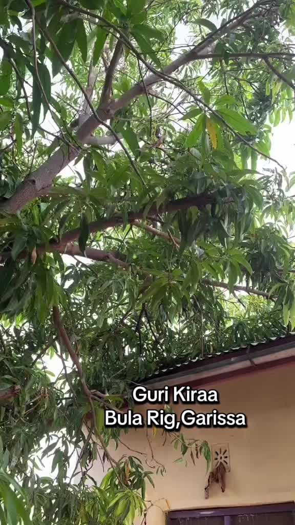 @Garissa Homes 🏡