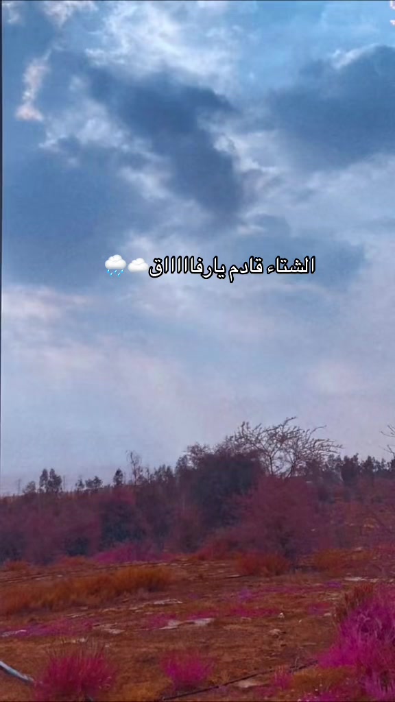 @المُدربة حنان✨