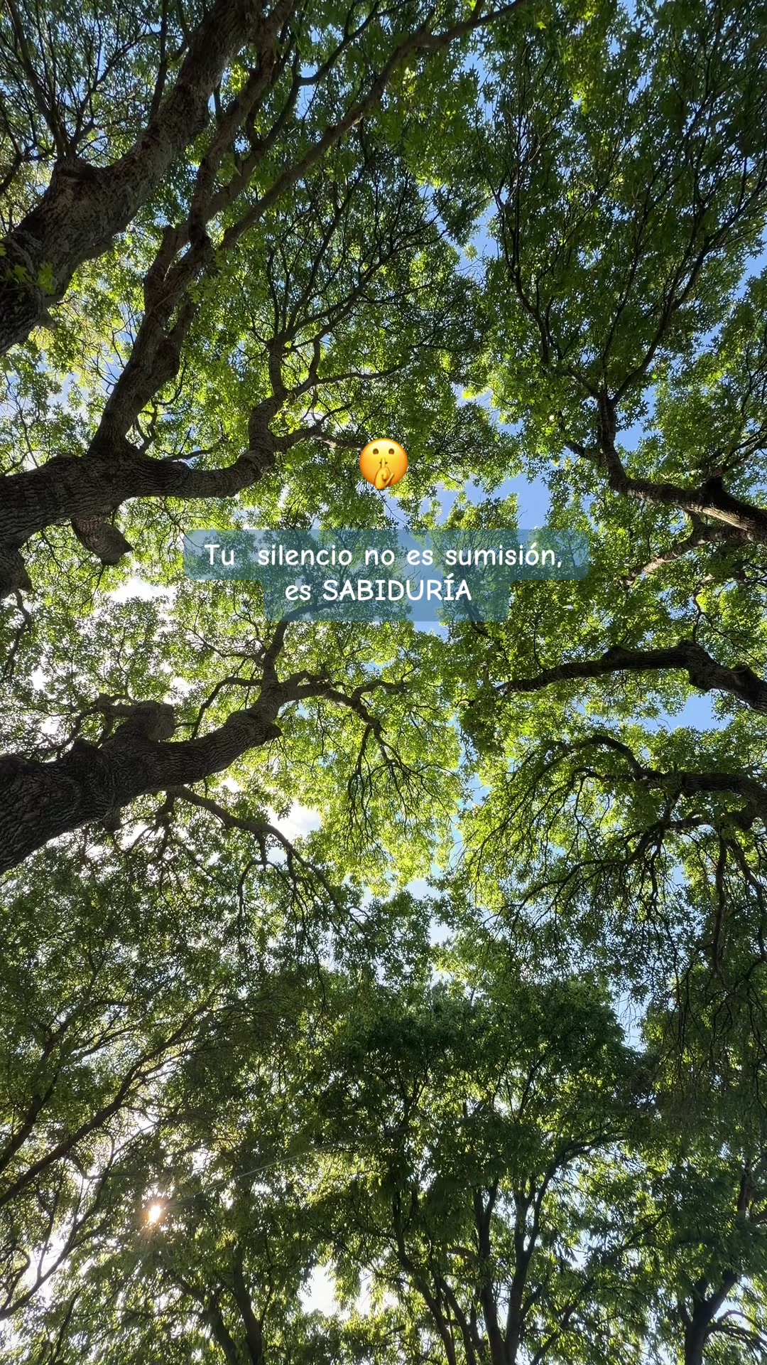 @🌙 ᑭᗩᗰ 🌙