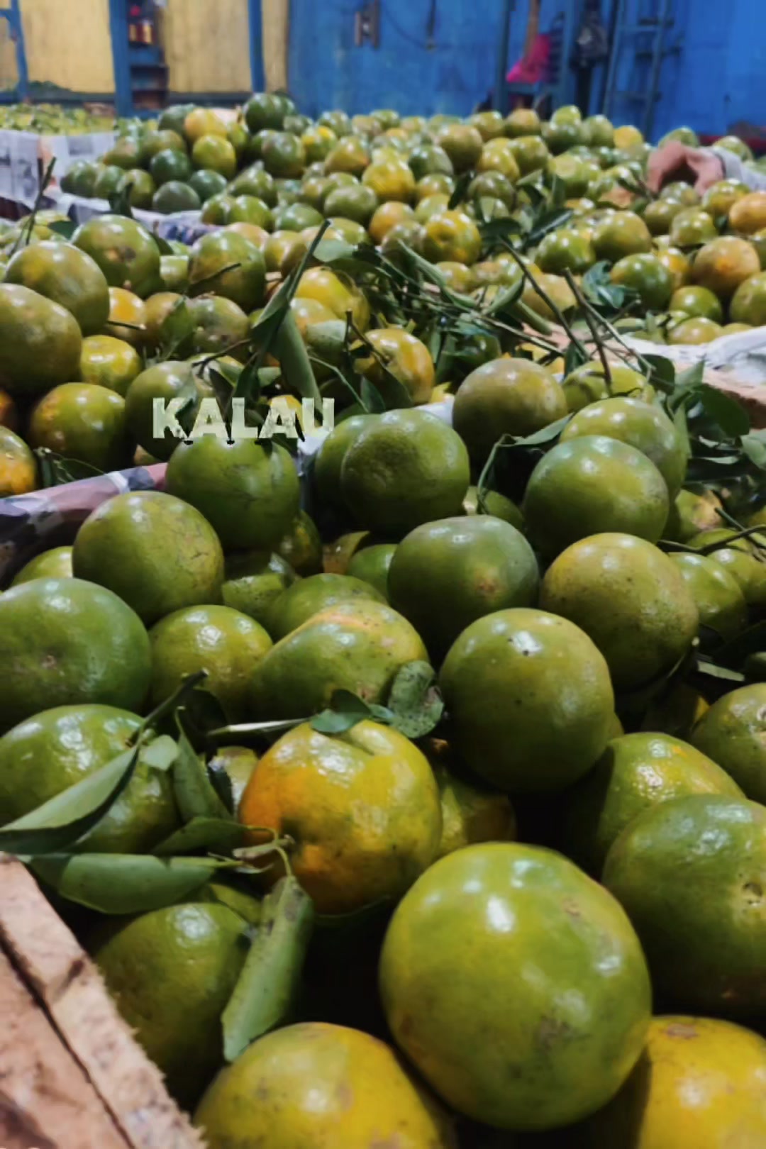 @supplier sayur dan buah sby