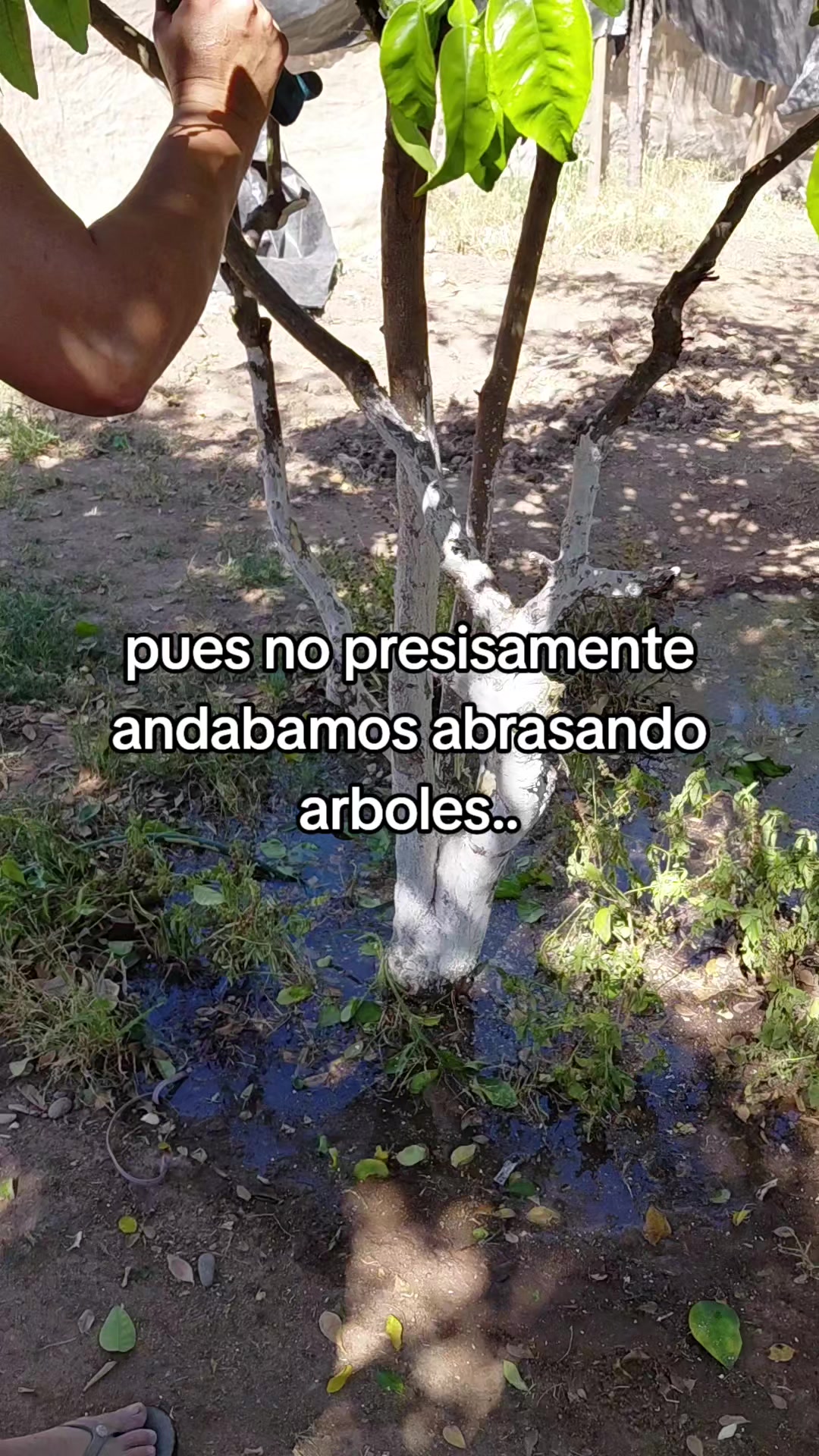 @@marichuy002