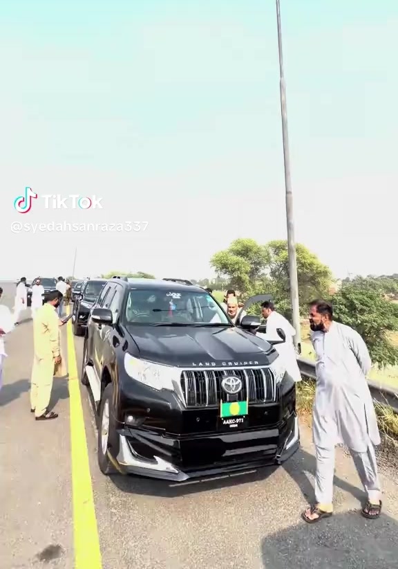 @شہزادہ امیرملت