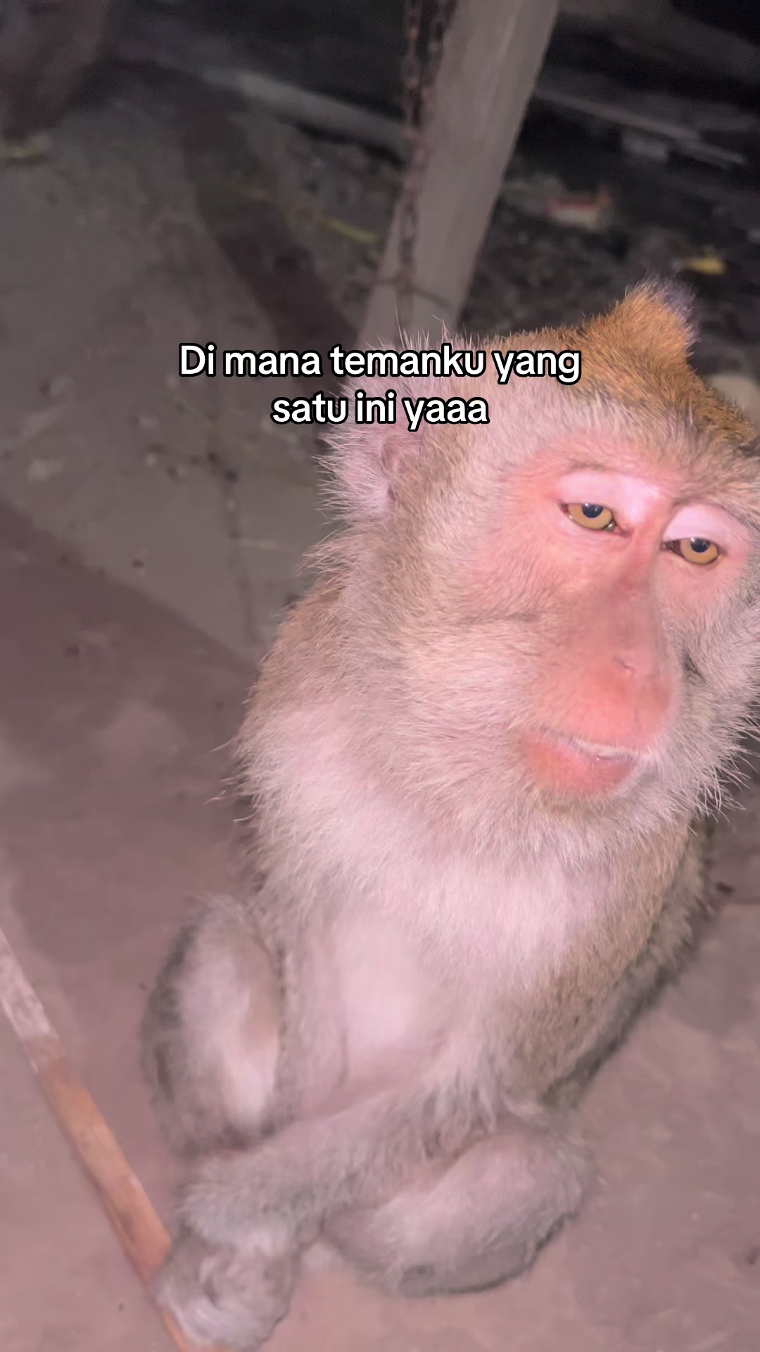 @Nyunyut