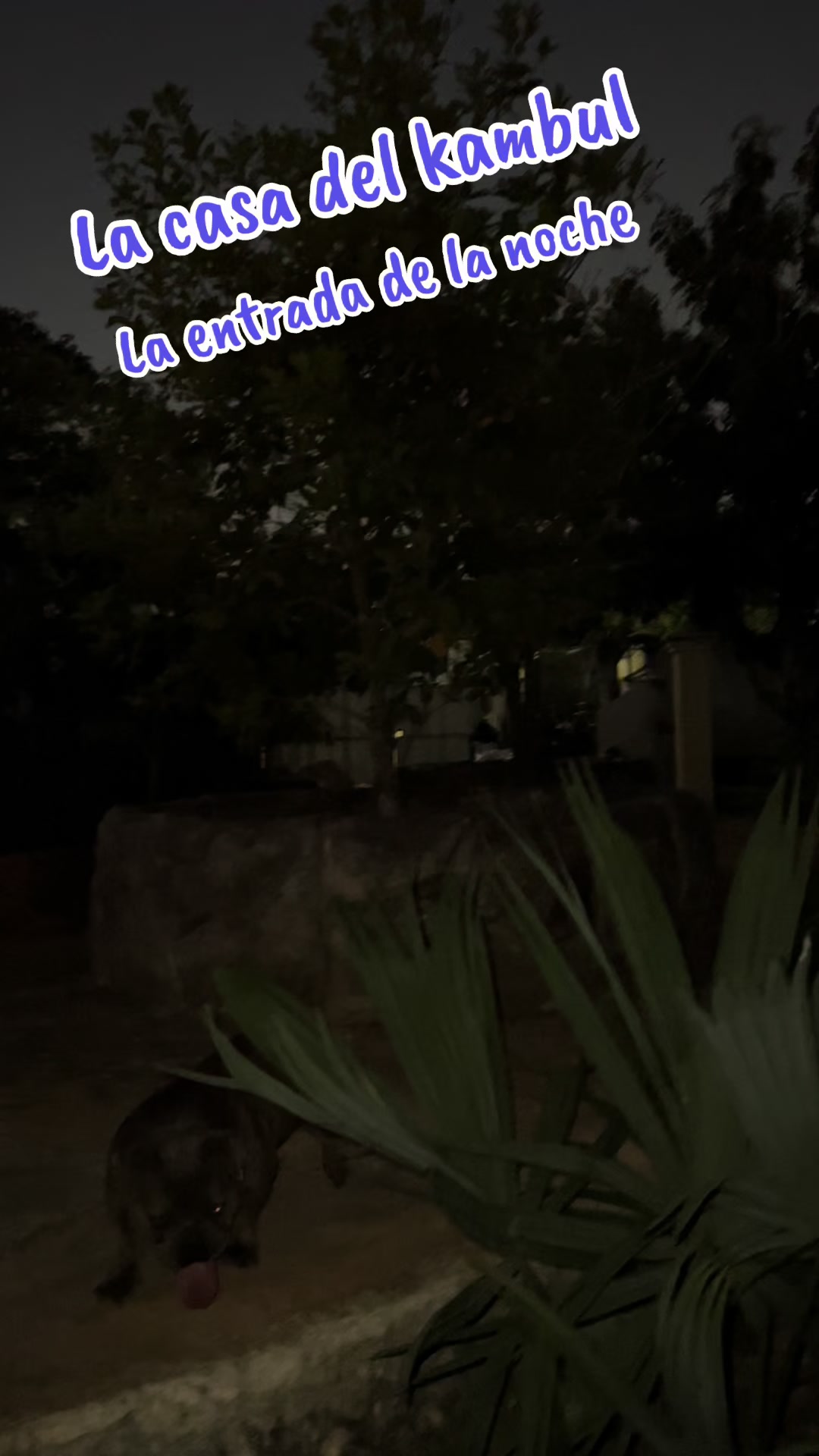 @La Casa Del Kambul