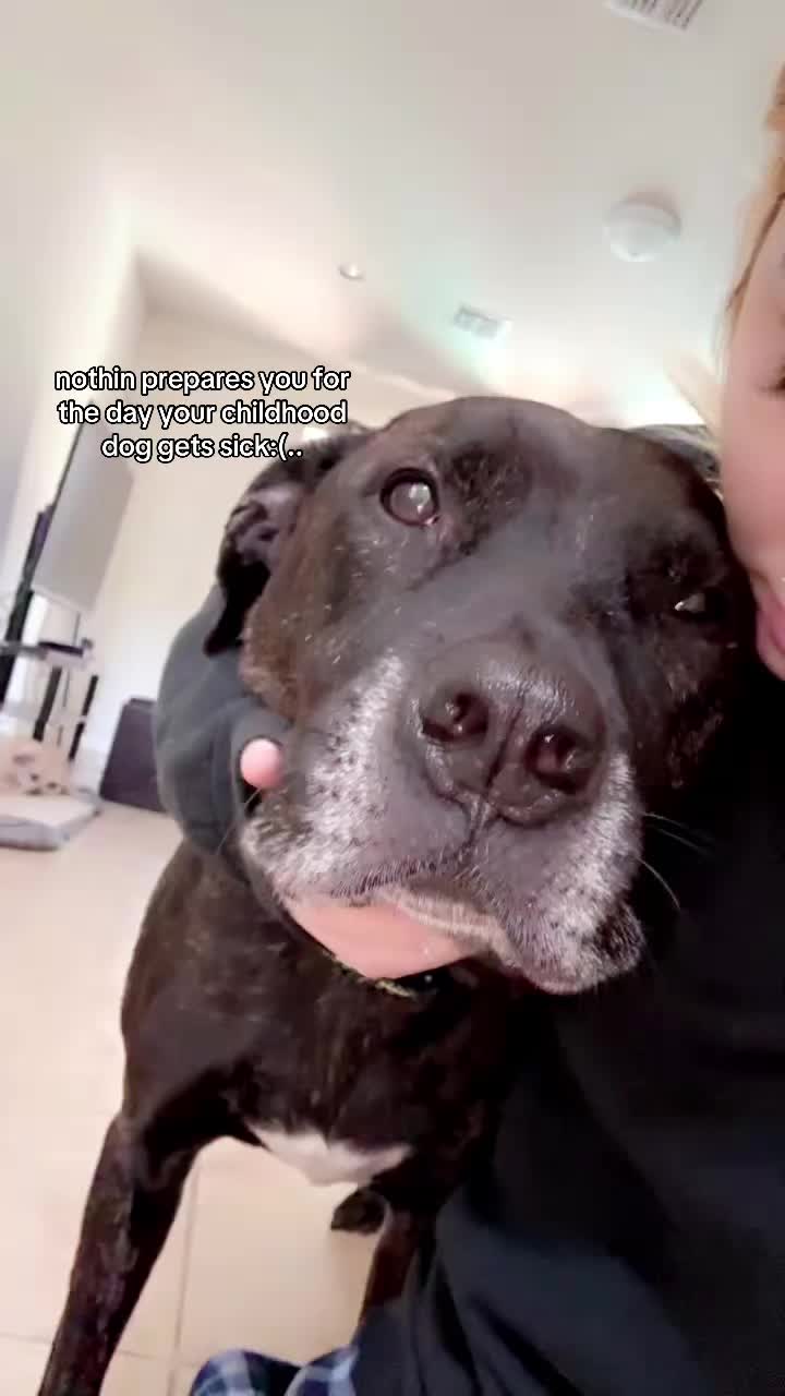 @𝑔𝒾𝒶