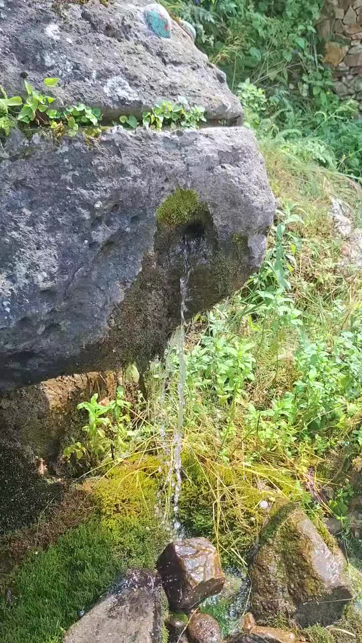 @Özen Ce