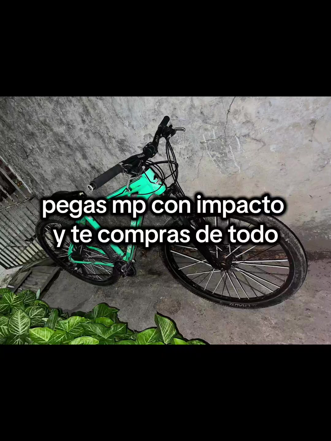 @mpamarillo6666