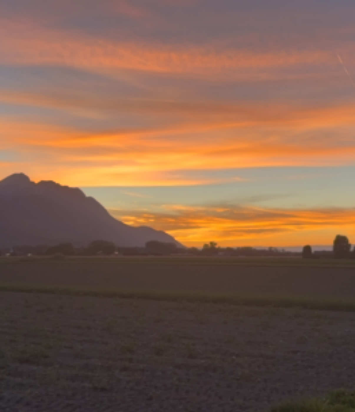 @Schyzo Swiss