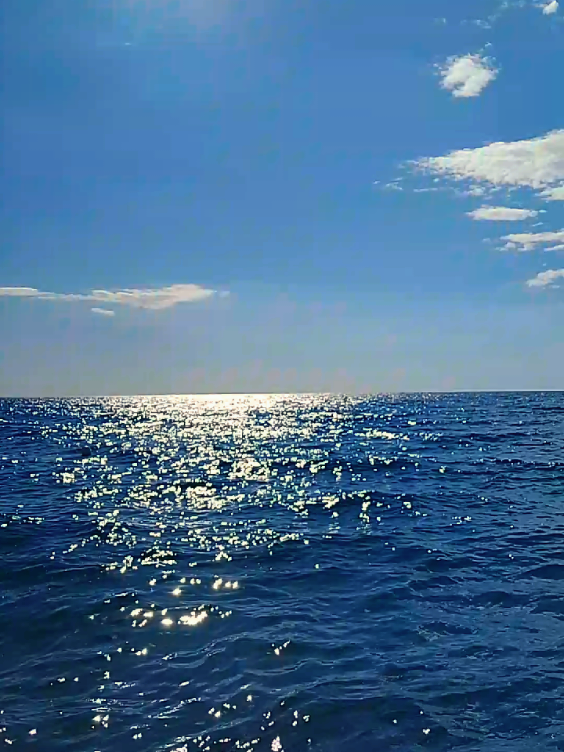 @SCALEA CALABRIA STRILL