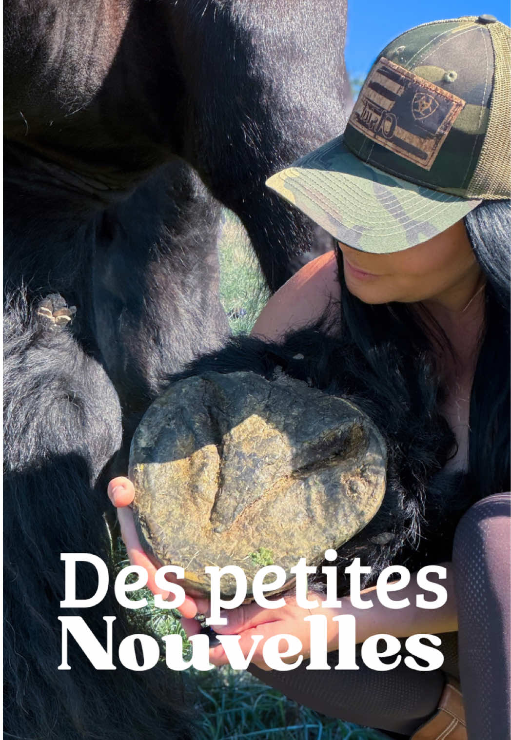 @Untraitdecheval