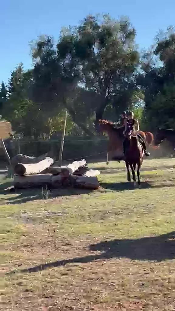 @haras de castille