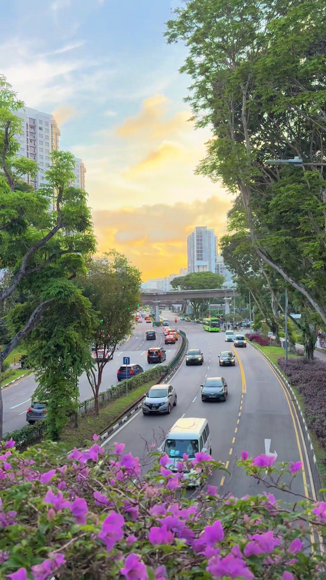 @Lèo nhèo_in Singapore✅