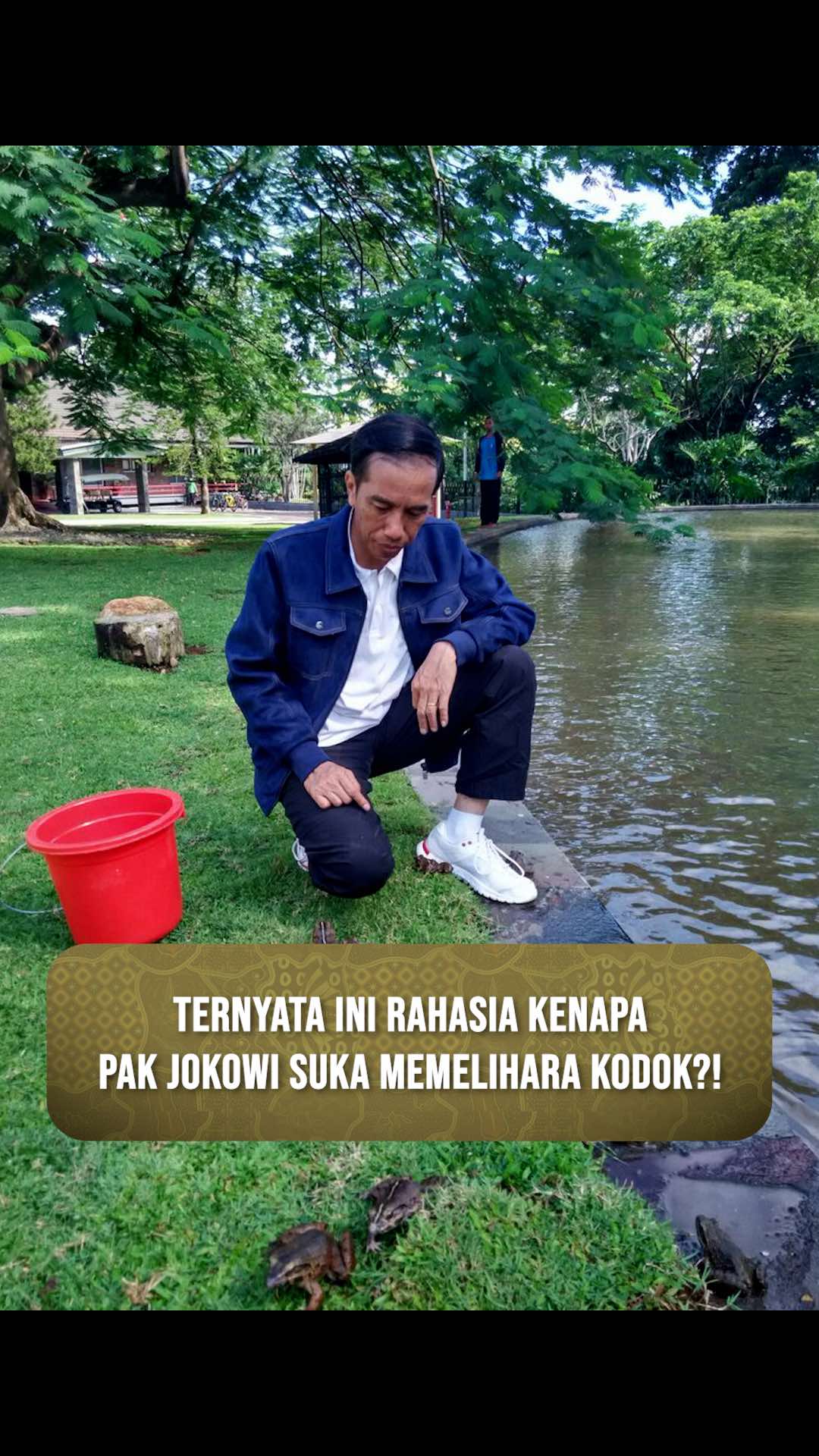 @RJL 5 Official
