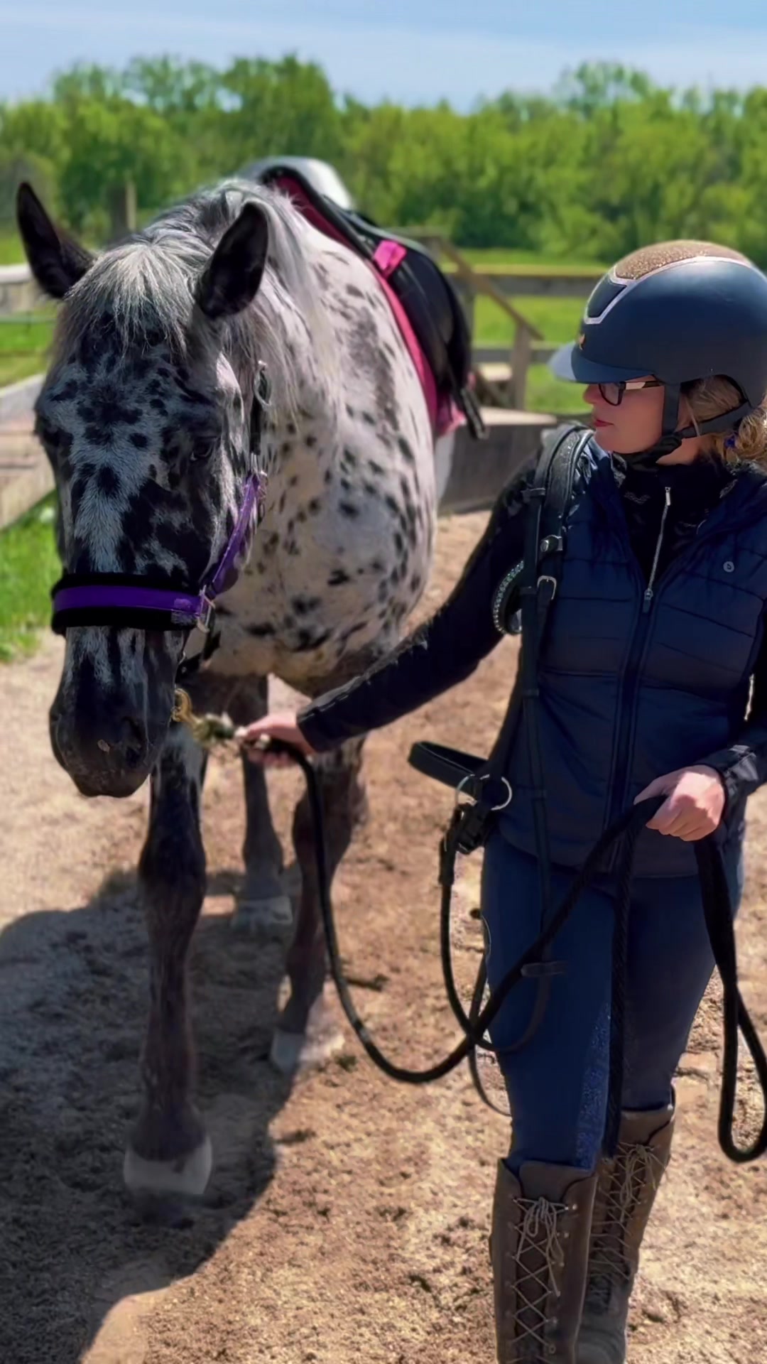 @Free Spirit Equestrian