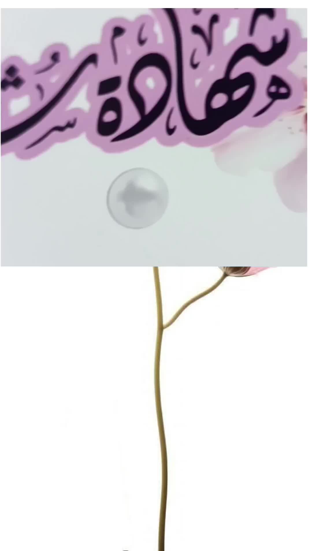 @MJ Design