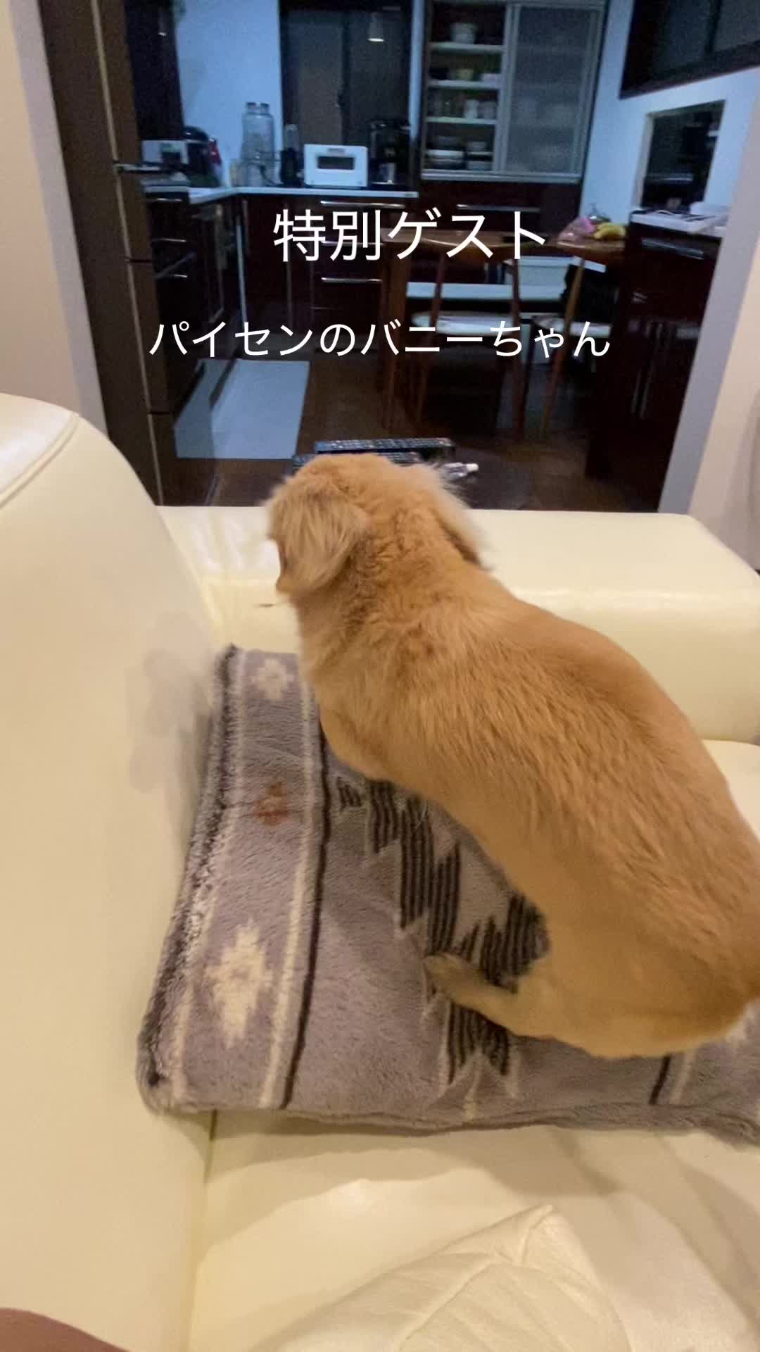 @サン&タマ