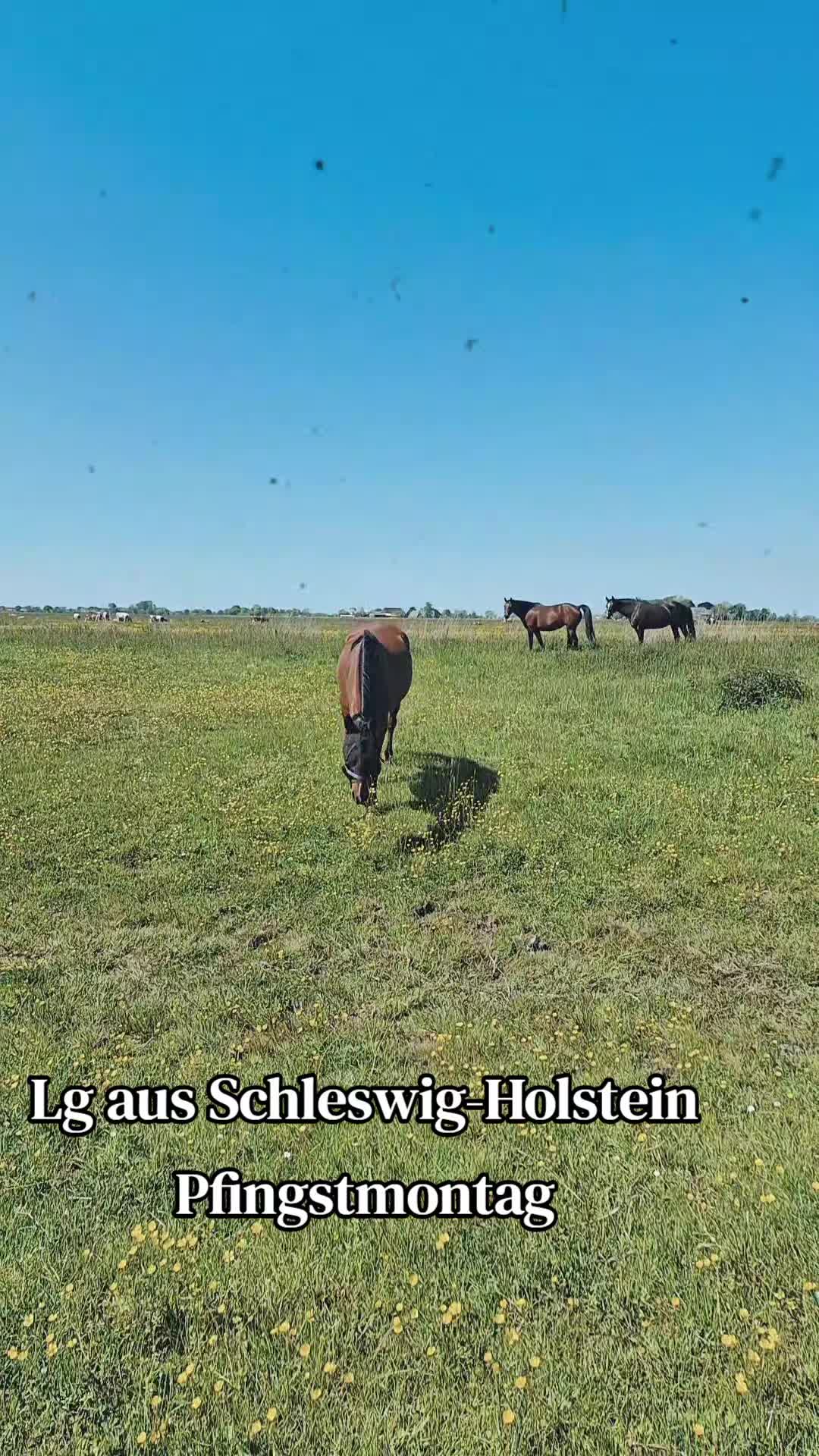 @Sandra Gehrls