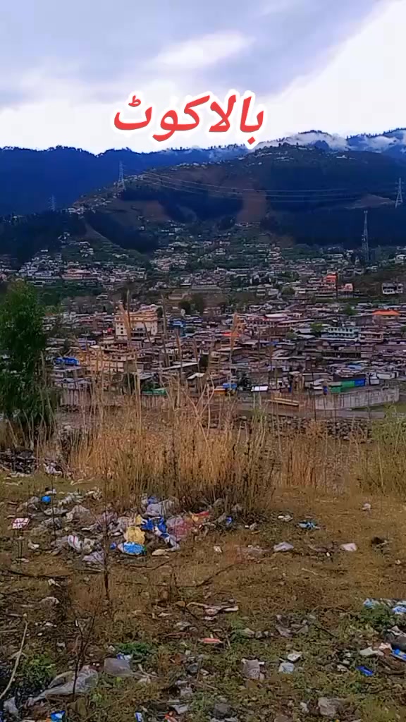 @sultan murad80