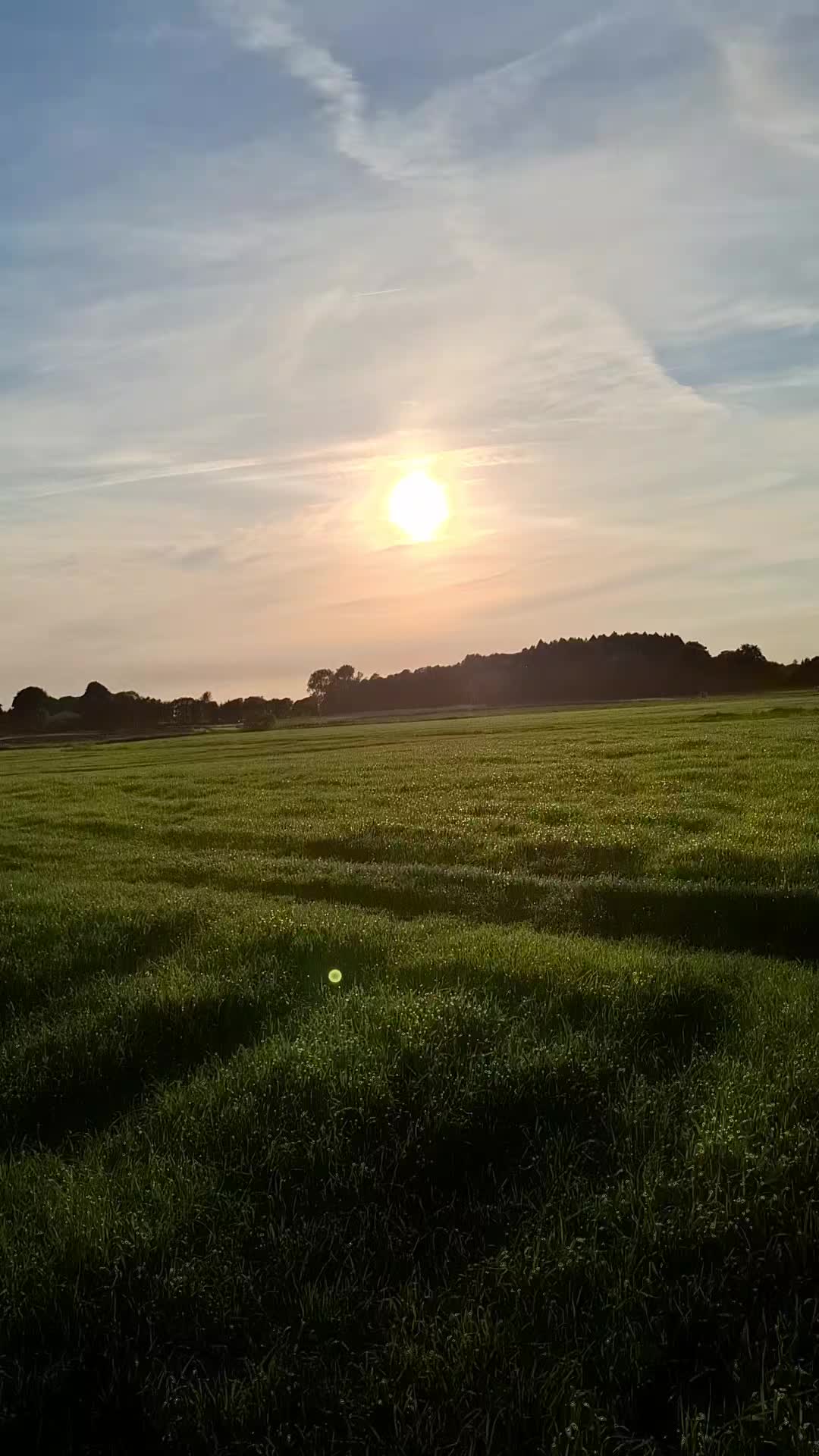 @Lasse.818