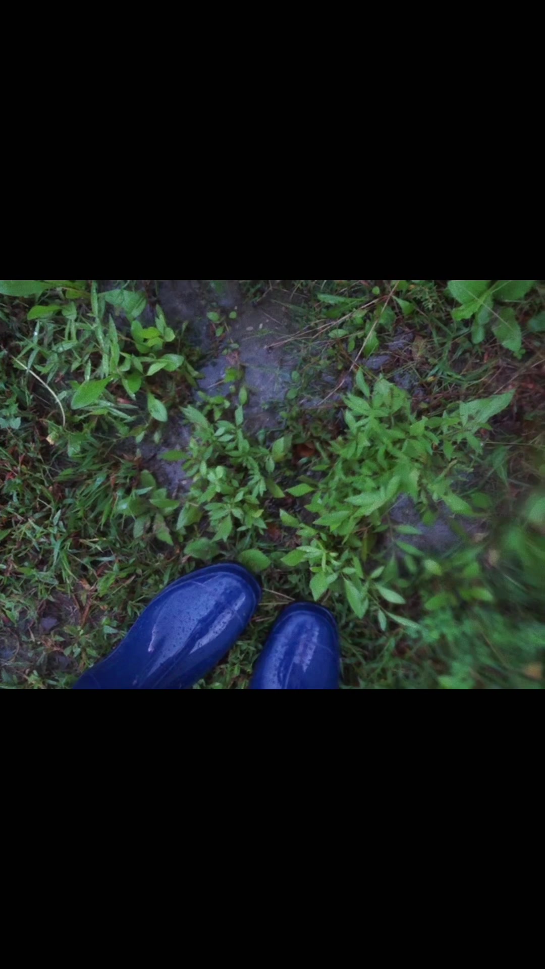 @fog71605