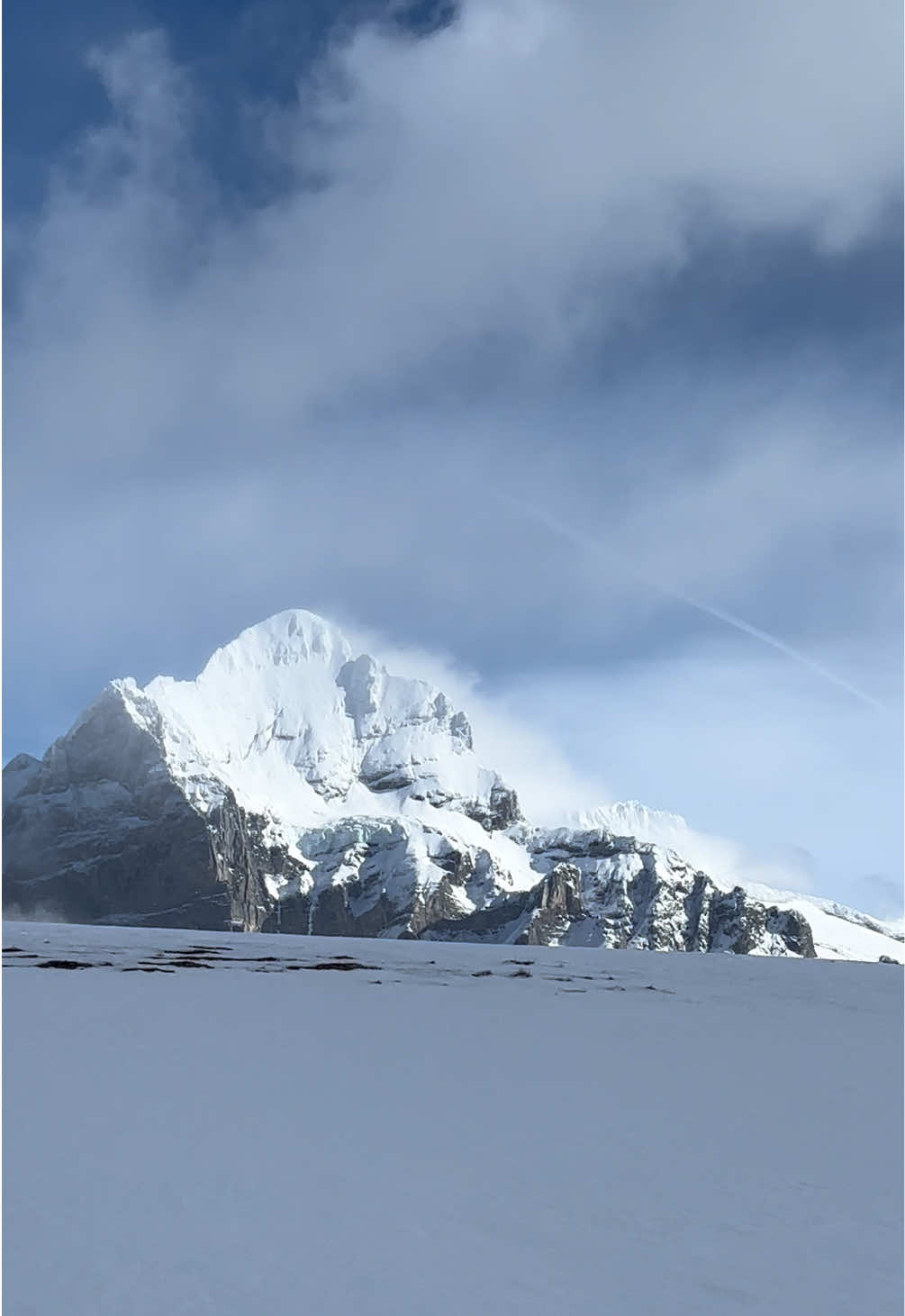 @Fiakosaure 🗻📹