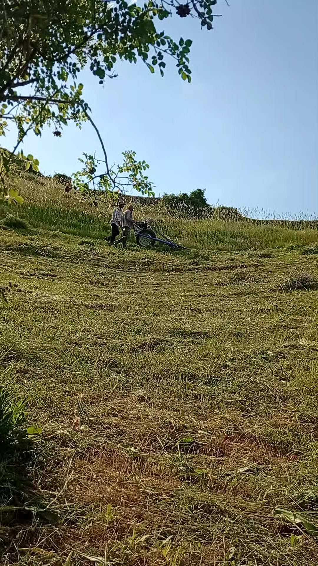 @MUNZURCAN 25.21