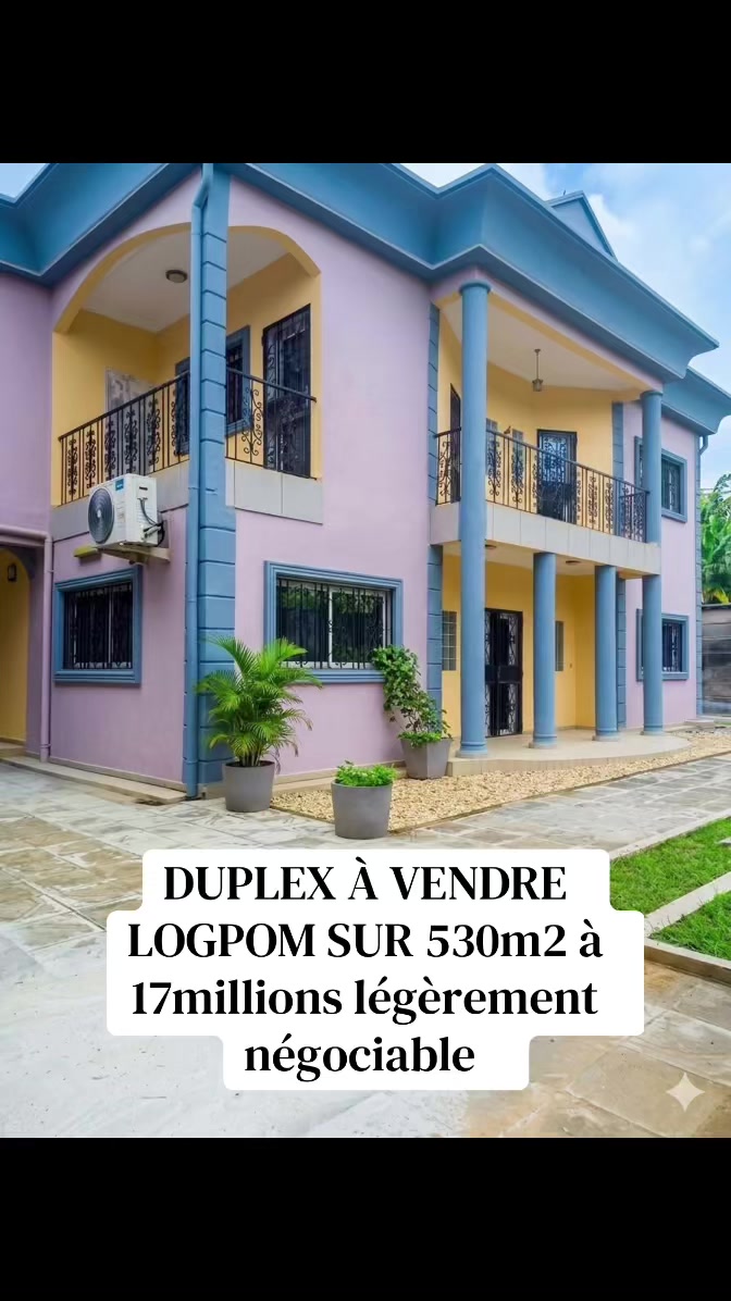 @DINO~IMMO~237🇨🇲🇨🇲