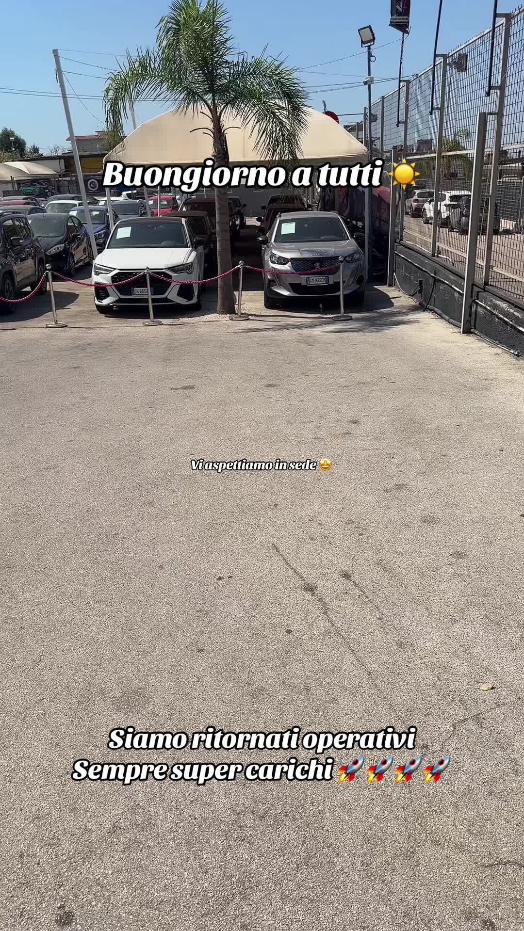 @AUTOIMMAGINE
