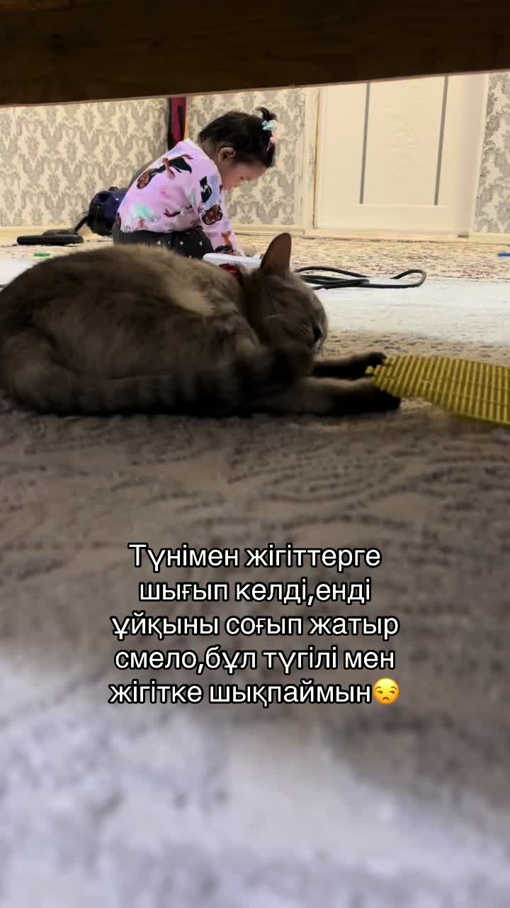 @boni04akx