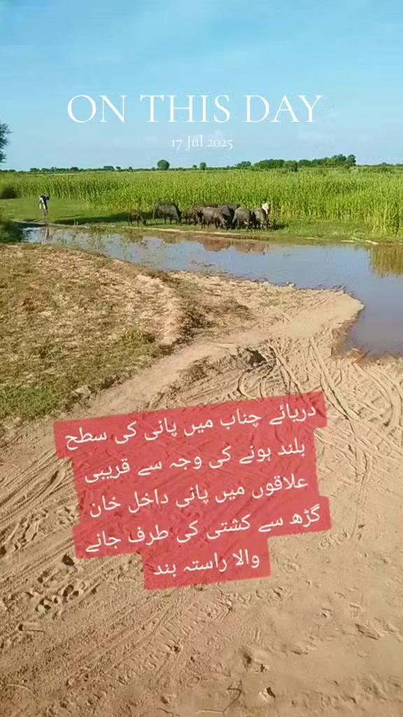 @Malik Bhai8423