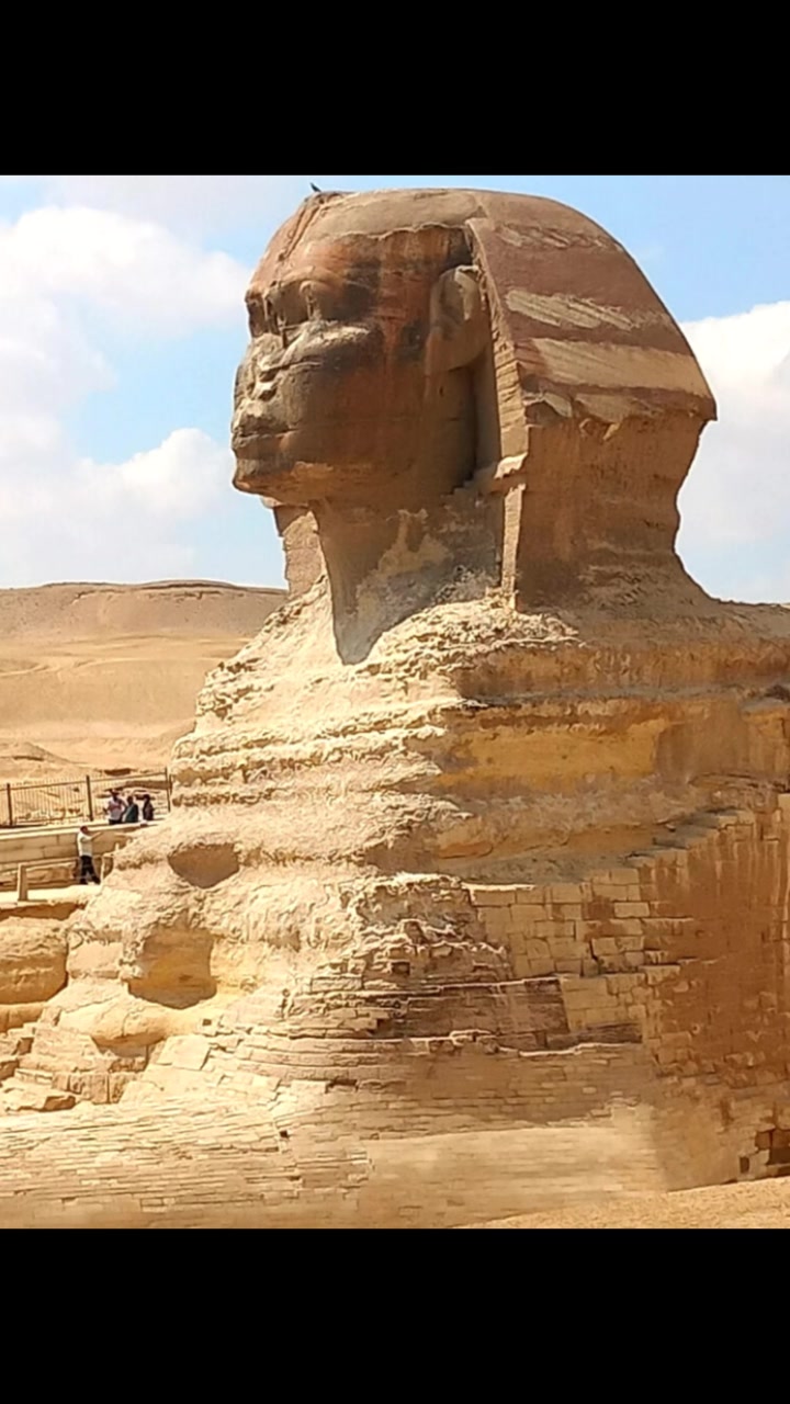 @Mohamed Abuel nour
