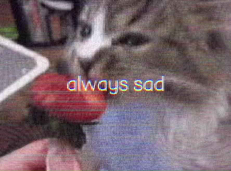 @fl1pped
